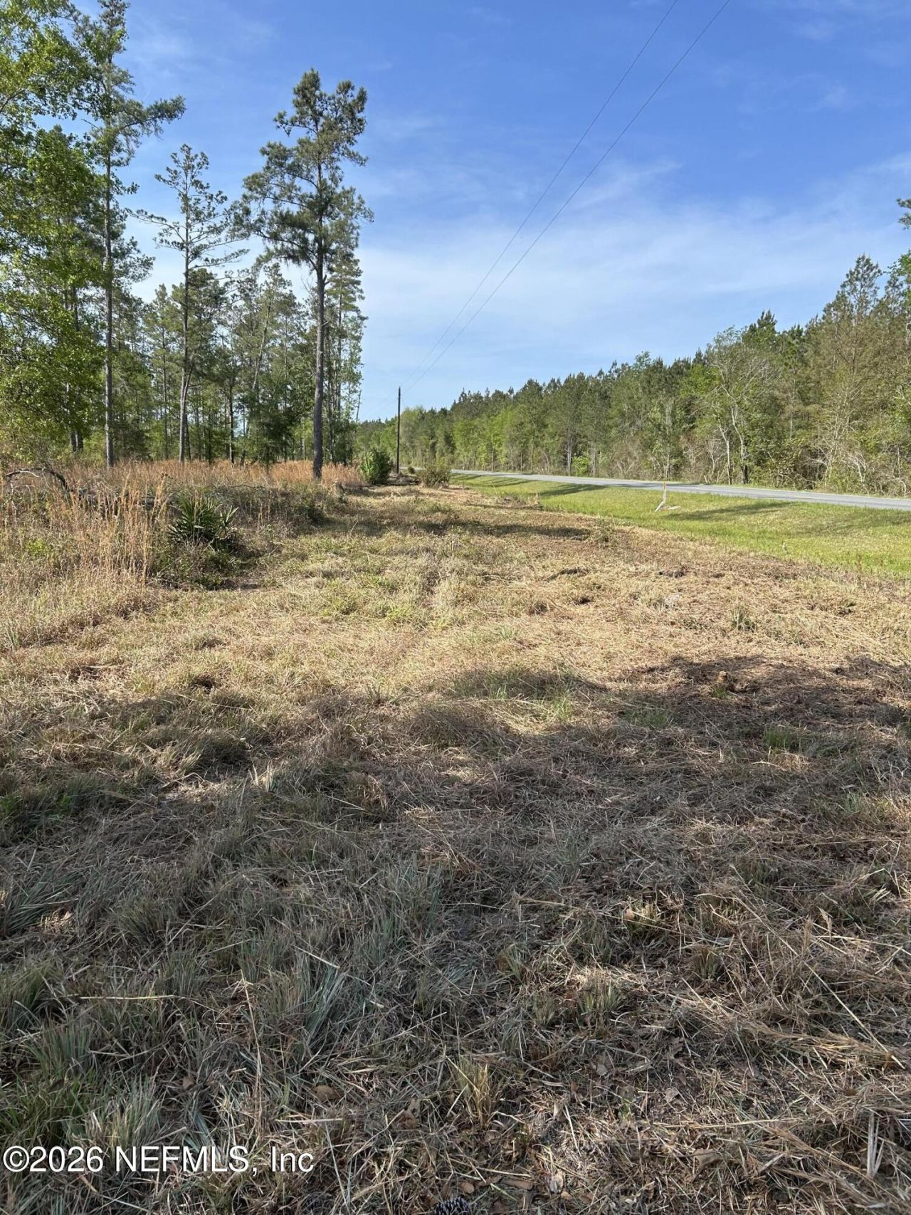 0 NW Falling Creek Road, Lake City, FL 32055 Photo