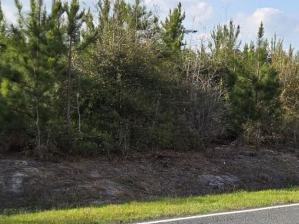 Near 731 Macedonia Church Road, Evergreen, NC 28438