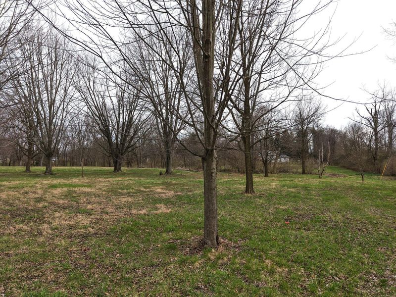 0 St Rt 718 , Unit Lot 1, Troy, OH 45373 Photo 2