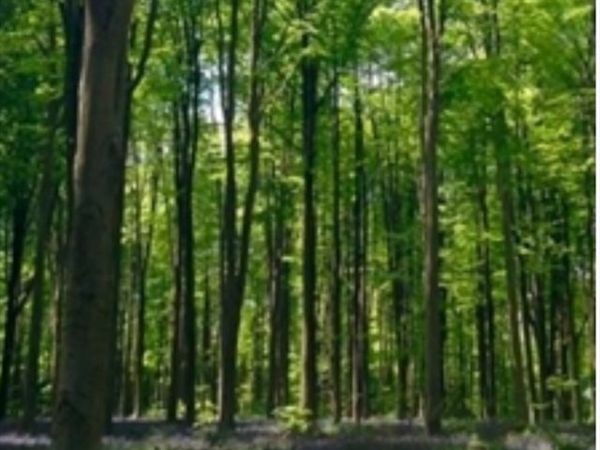 Lot 4 Winterberry Lane, Easton, MA 02356