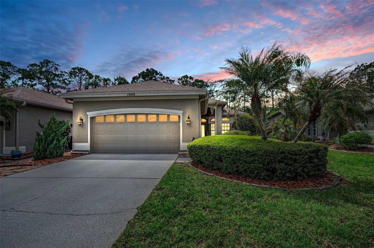 1502 Woodstream Drive, Oldsmar, FL 34677 Main Photo