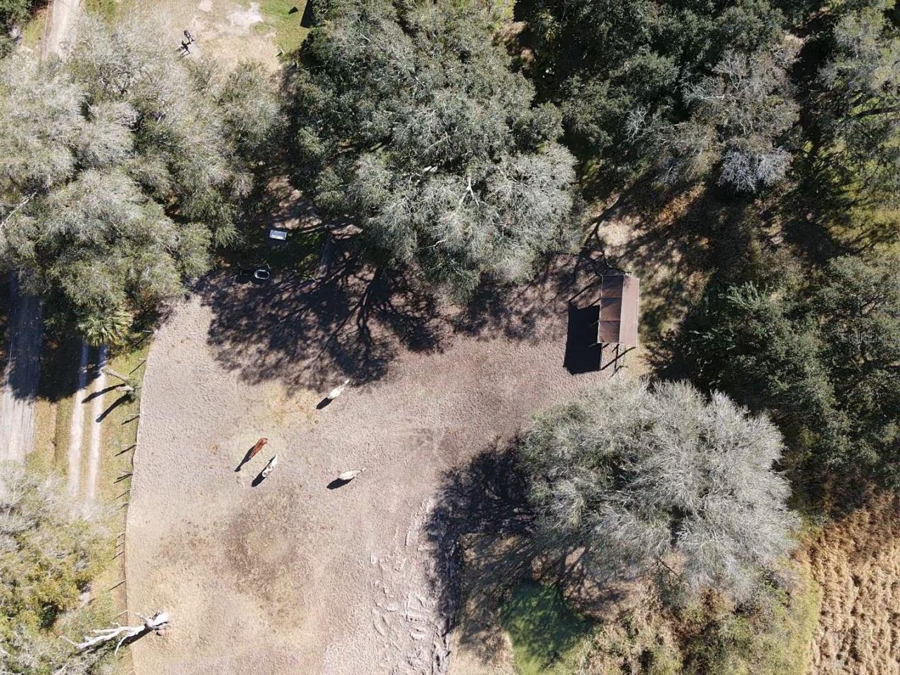 5614 Watson, Riverview, FL 33578 Photo