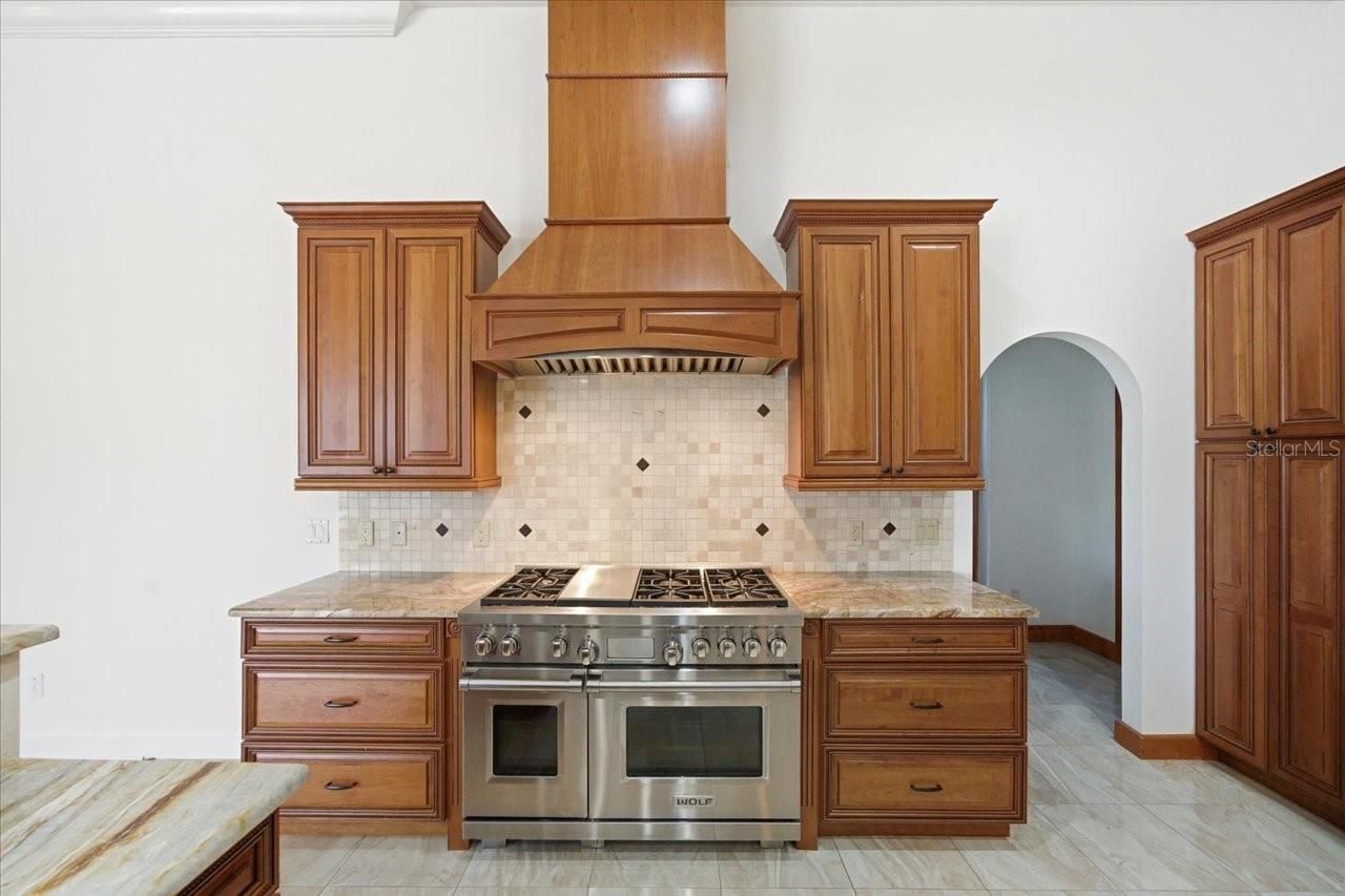 18634 Avenue Capri, Lutz, FL 33558 Photo