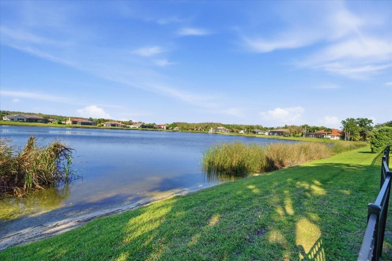 18634 Avenue Capri, Lutz, FL 33558 Photo