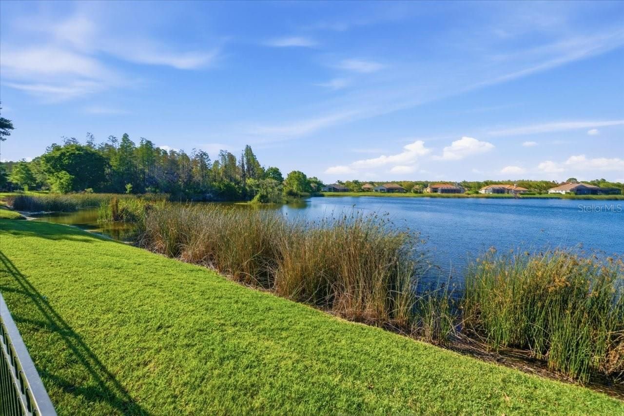 18634 Avenue Capri, Lutz, FL 33558 Photo