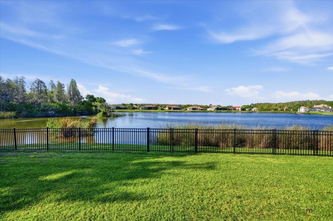 18634 Avenue Capri, Lutz, FL 33558 Photo