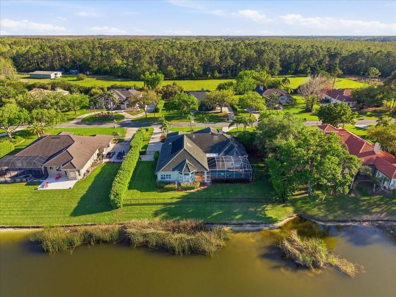 18634 Avenue Capri, Lutz, FL 33558 Photo