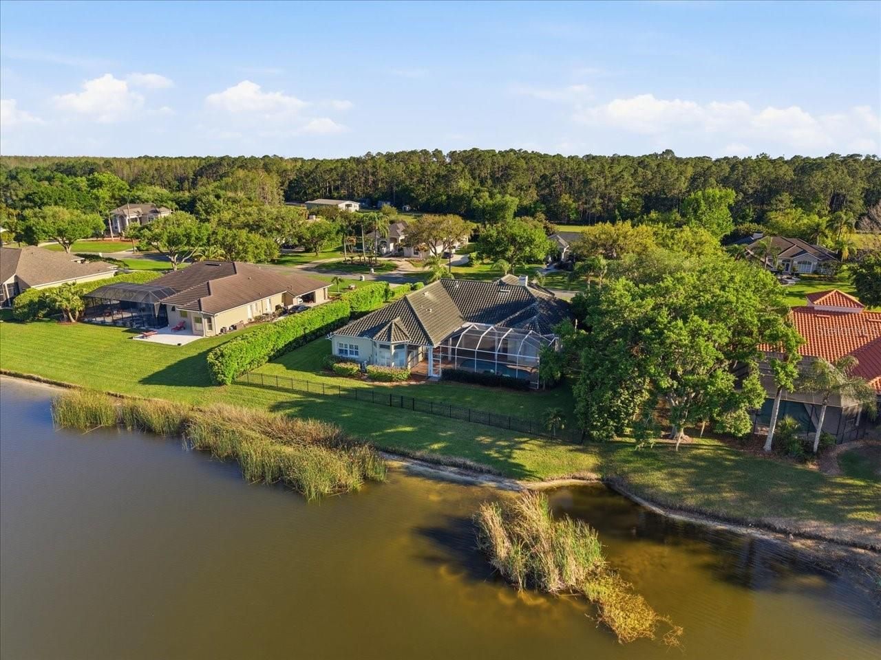 18634 Avenue Capri, Lutz, FL 33558 Photo