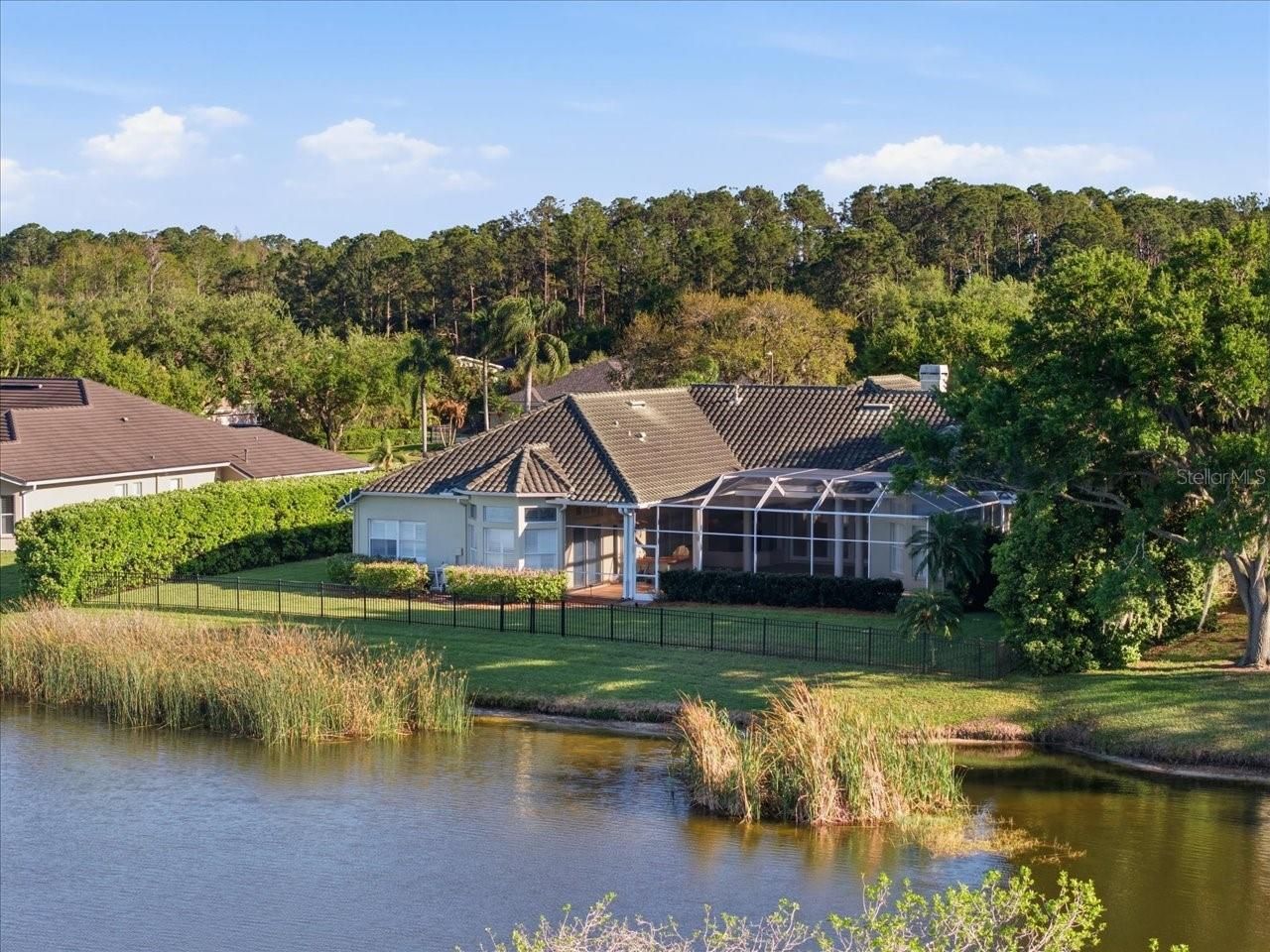 18634 Avenue Capri, Lutz, FL 33558 Photo