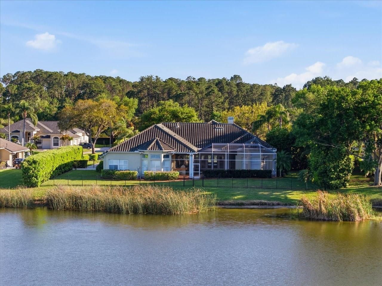 18634 Avenue Capri, Lutz, FL 33558 Photo