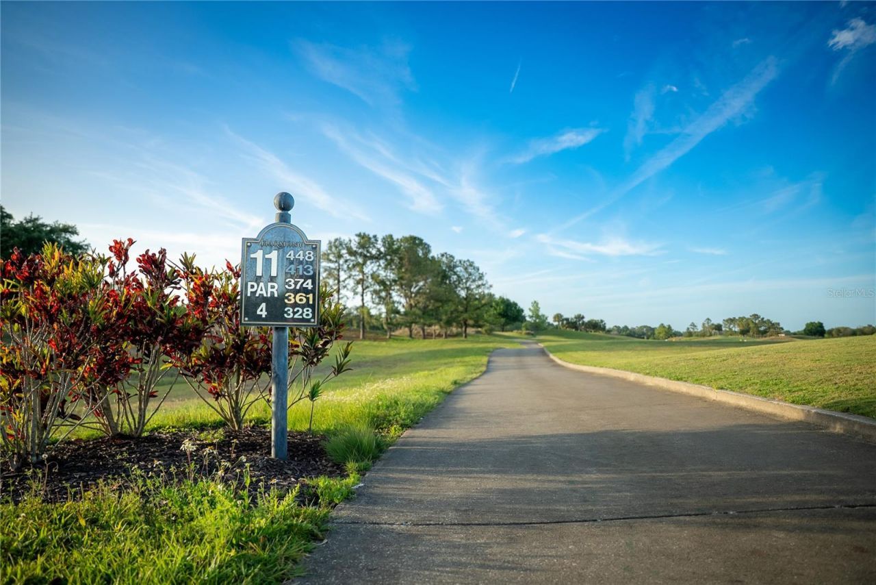 3399 Sagebrush Street, Harmony, FL 34773 Photo