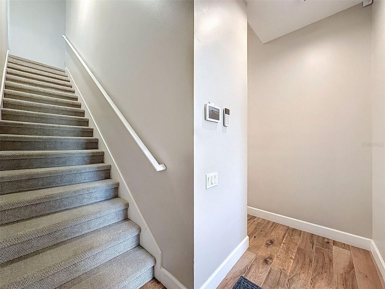 3997 Mimosa Place, Palm Harbor, FL 34685 Photo