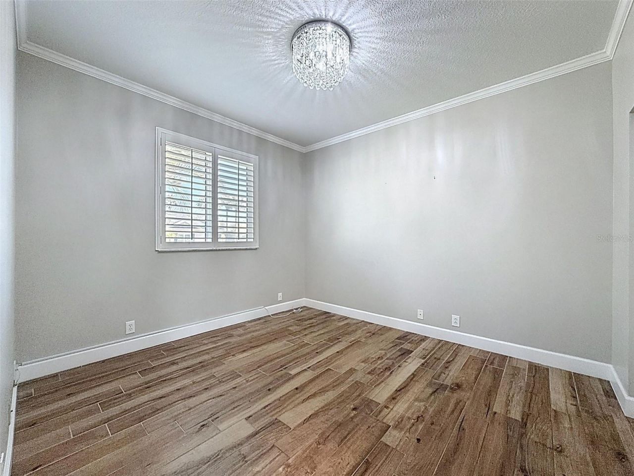 3997 Mimosa Place, Palm Harbor, FL 34685 Photo