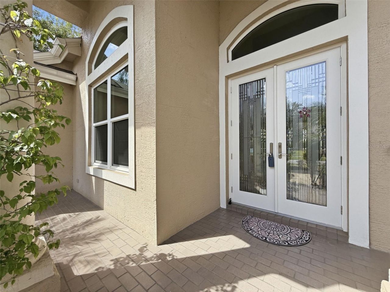 3997 Mimosa Place, Palm Harbor, FL 34685 Photo