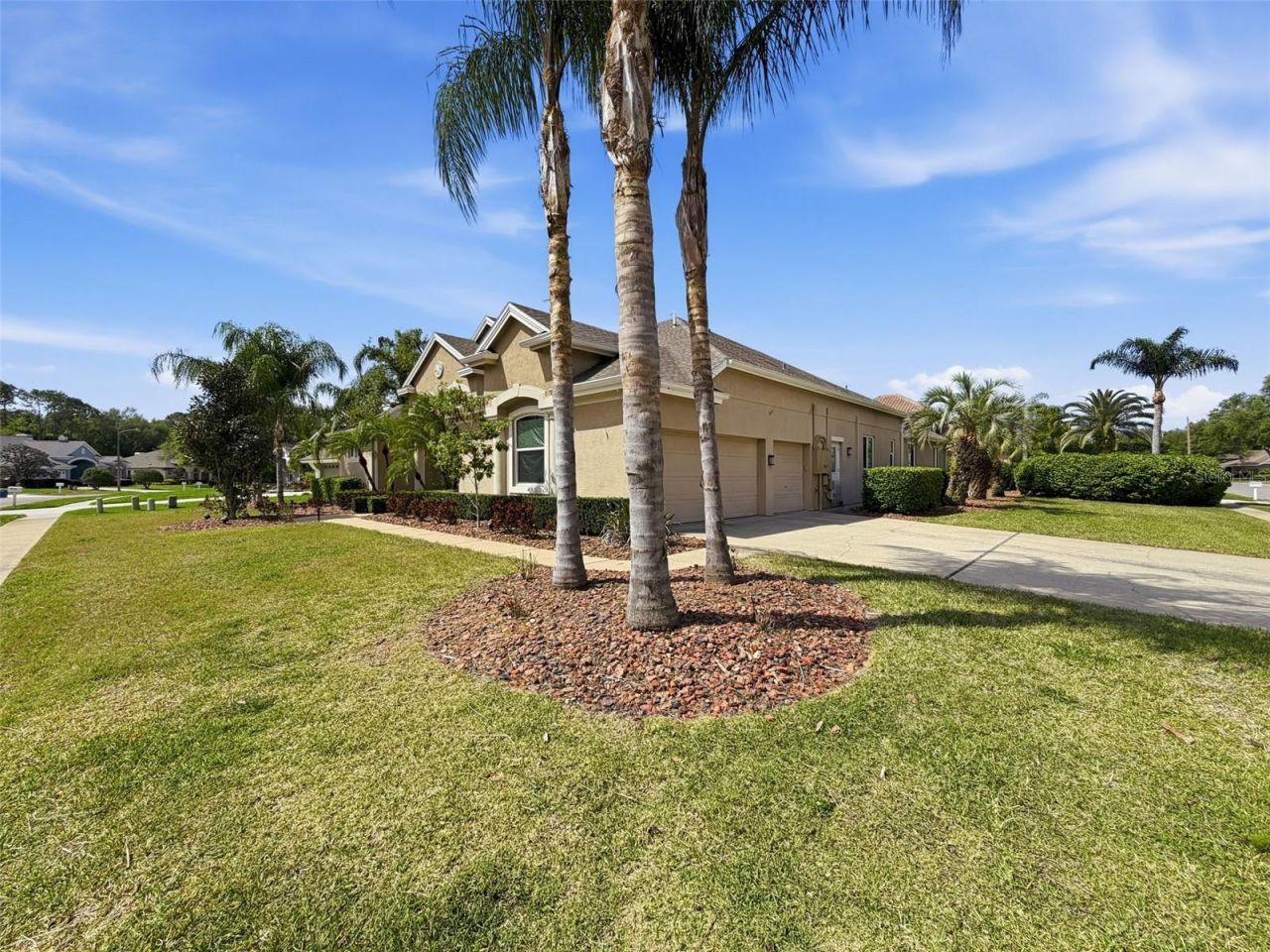 3997 Mimosa Place, Palm Harbor, FL 34685 Photo