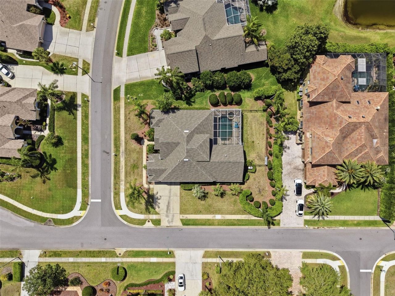 3997 Mimosa Place, Palm Harbor, FL 34685 Photo