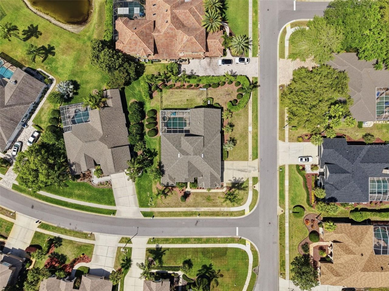 3997 Mimosa Place, Palm Harbor, FL 34685 Photo