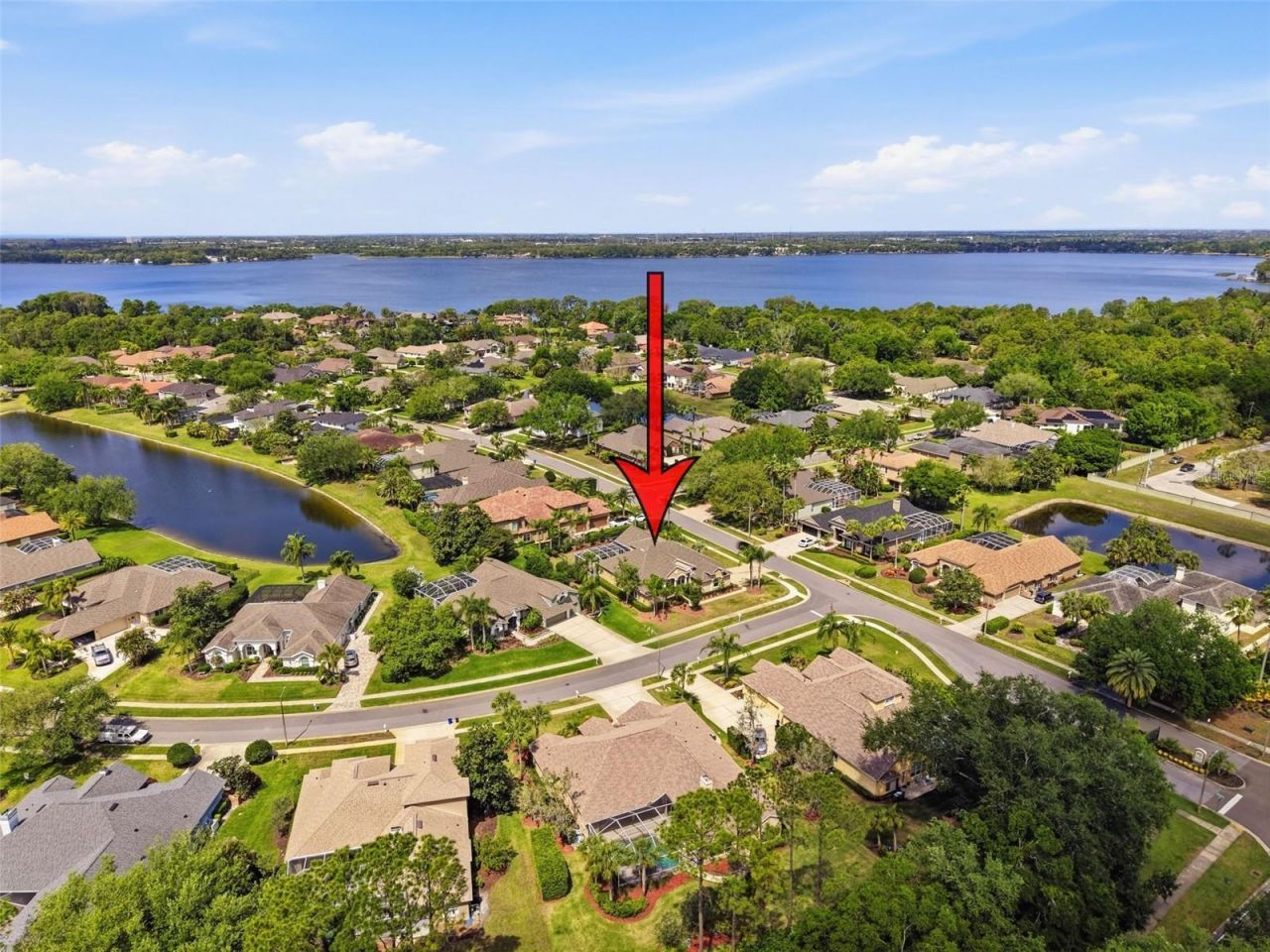 3997 Mimosa Place, Palm Harbor, FL 34685 Photo