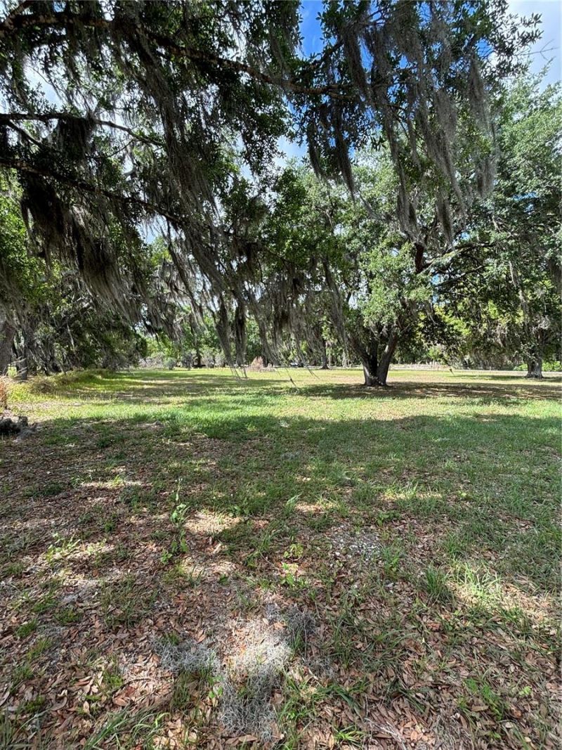 1445 Carter Street , Auburndale, FL 33823 Photo