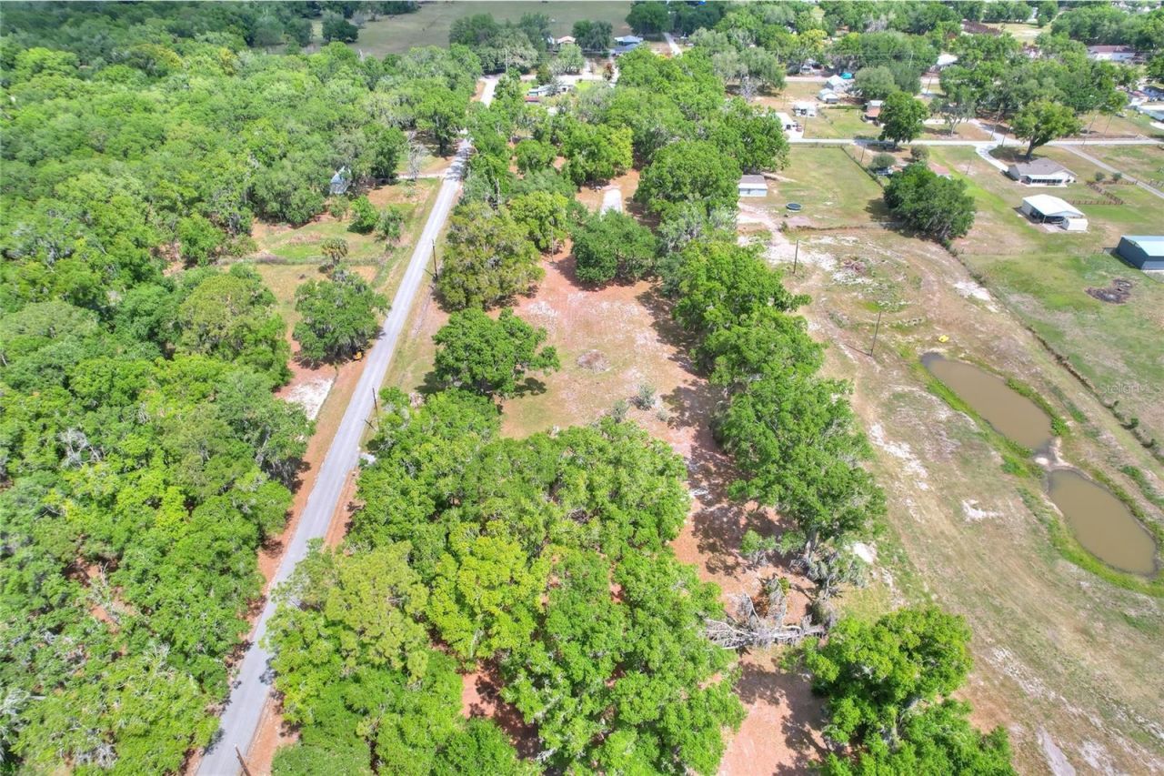 1445 Carter Street , Auburndale, FL 33823 Photo