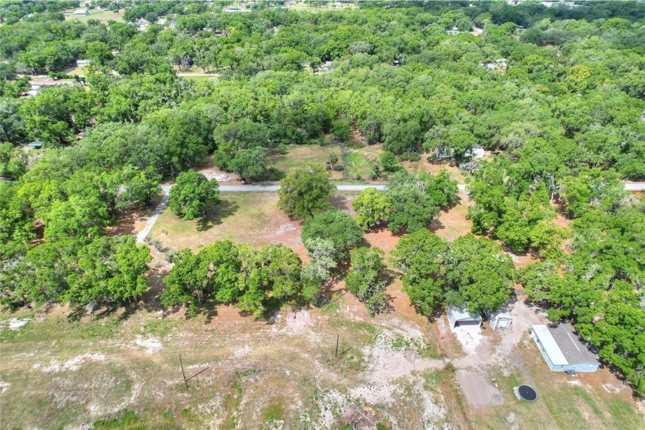 1445 Carter Street , Auburndale, FL 33823 Photo