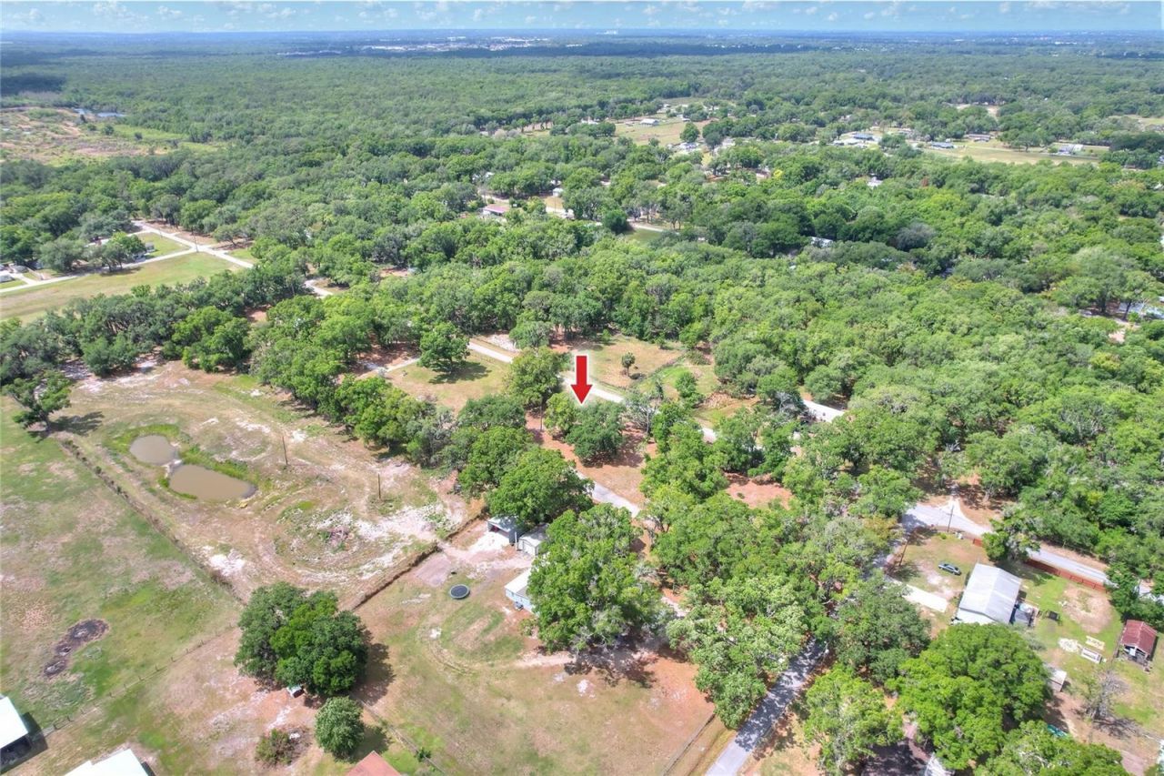 1445 Carter Street , Auburndale, FL 33823 Photo