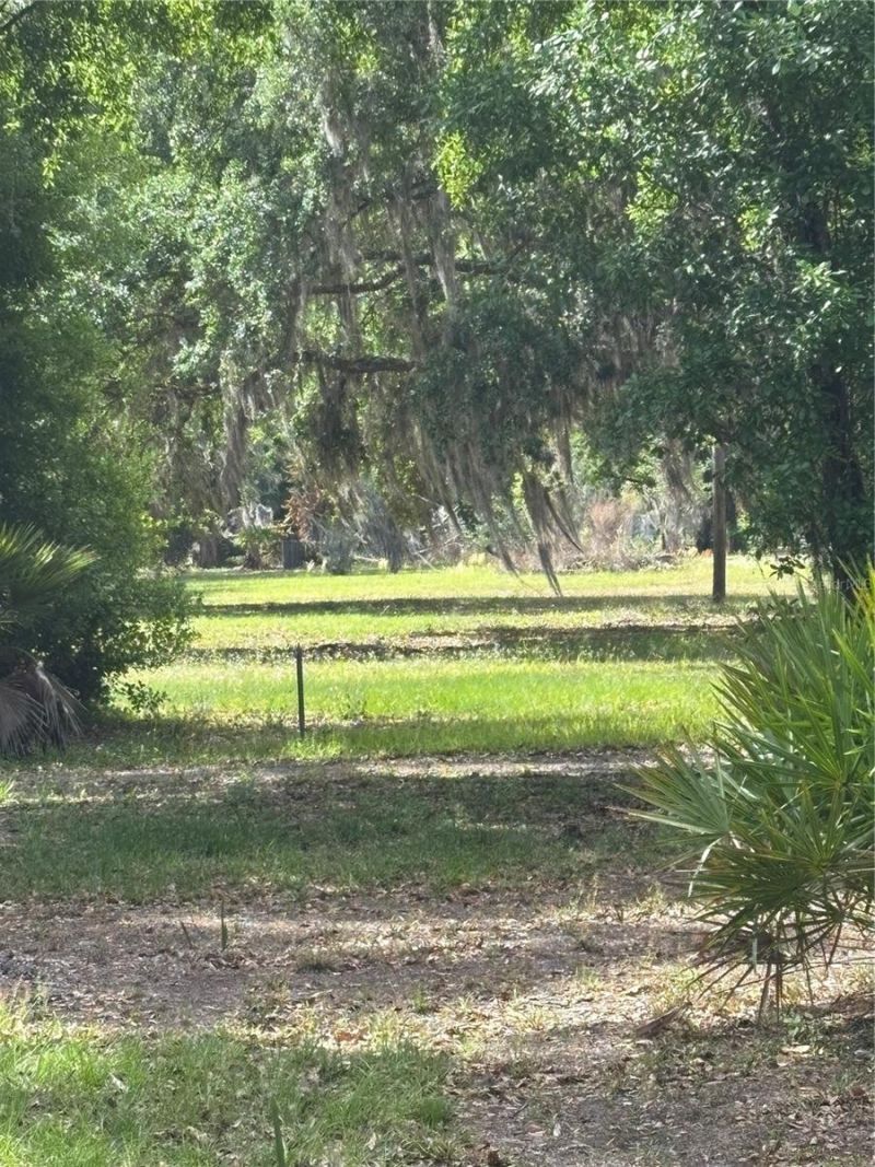 1445 Carter Street , Auburndale, FL 33823 Photo