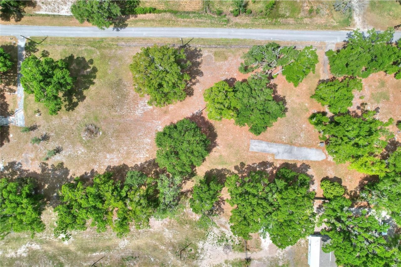 1445 Carter Street , Auburndale, FL 33823 Photo