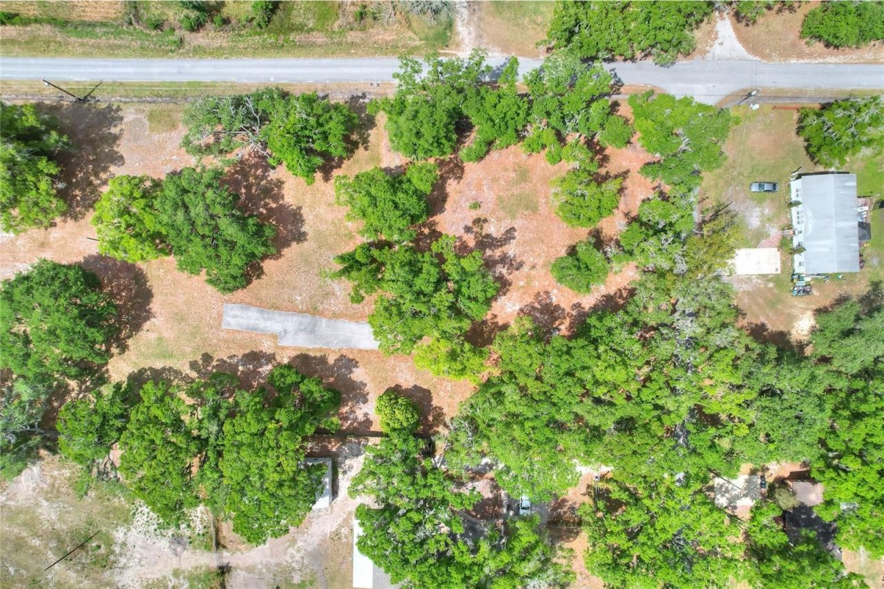 1445 Carter Street , Auburndale, FL 33823 Photo