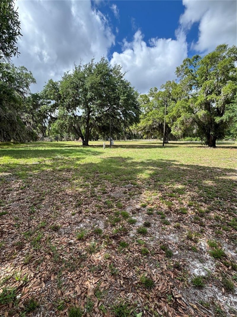 1445 Carter Street , Auburndale, FL 33823 Photo