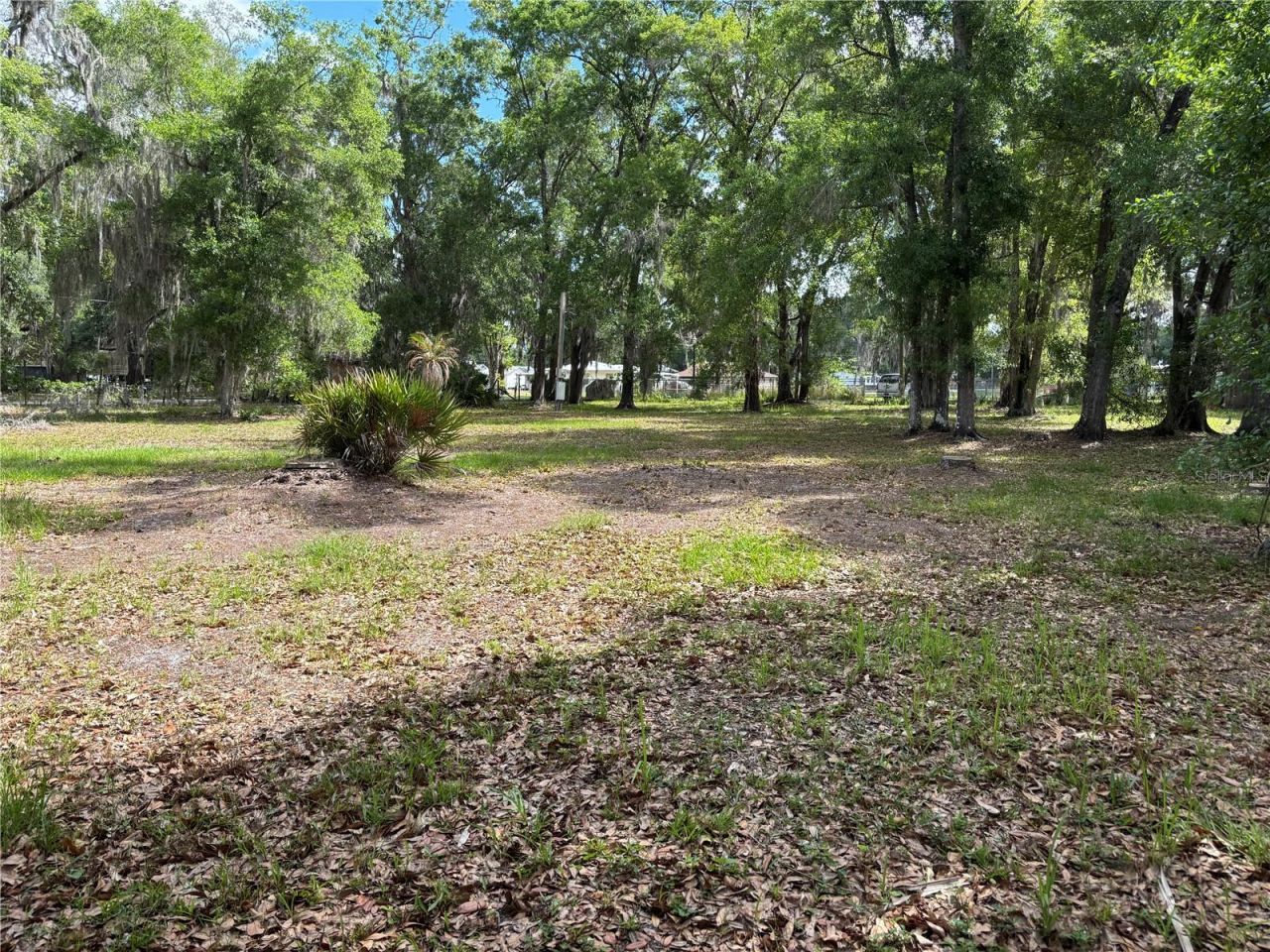 1445 Carter Street , Auburndale, FL 33823 Photo