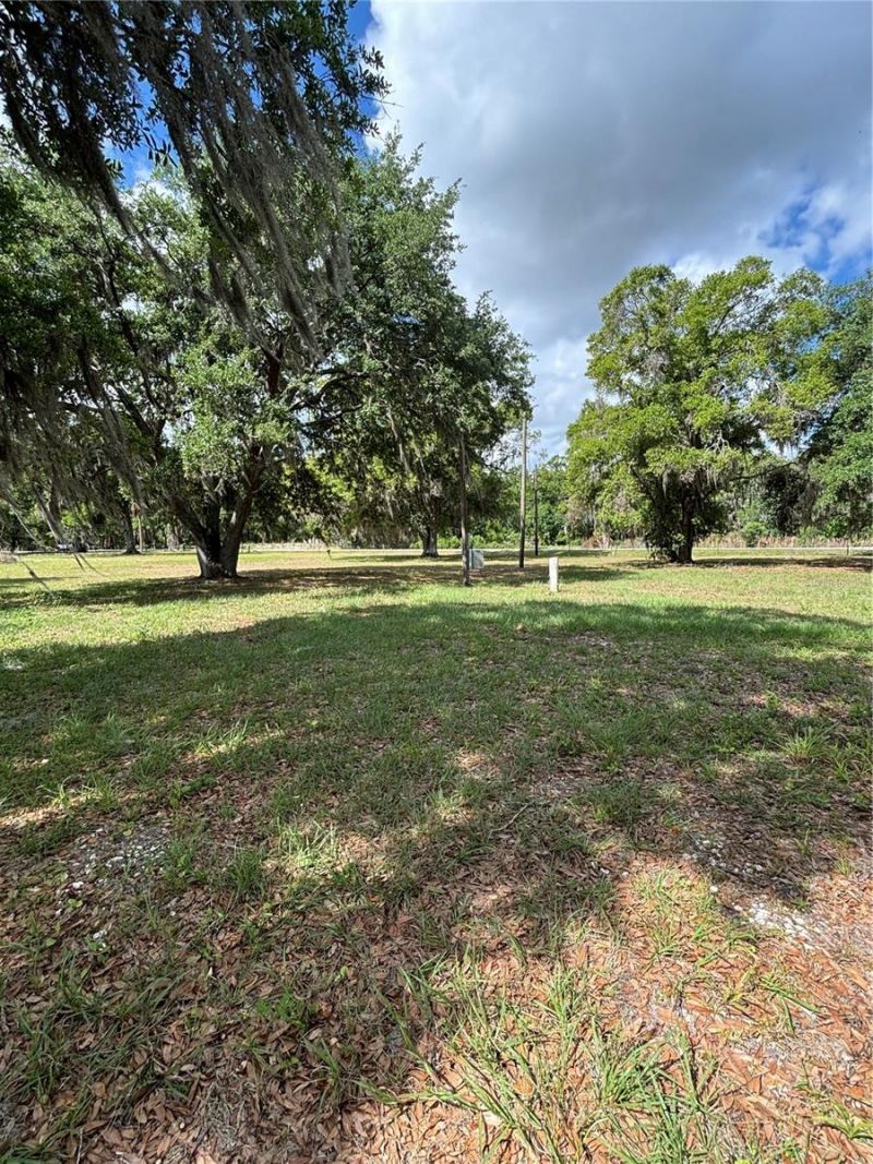 1445 Carter Street , Auburndale, FL 33823 Photo