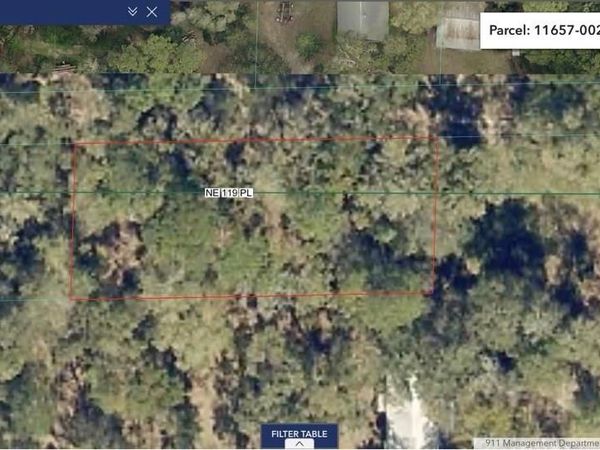 23714 NE 119TH PLACE , SALT SPRINGS, FL 32134