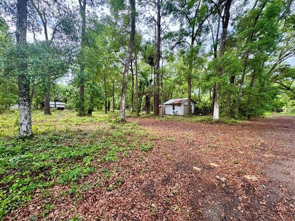 23714 NE 119TH PLACE , SALT SPRINGS, FL 32134