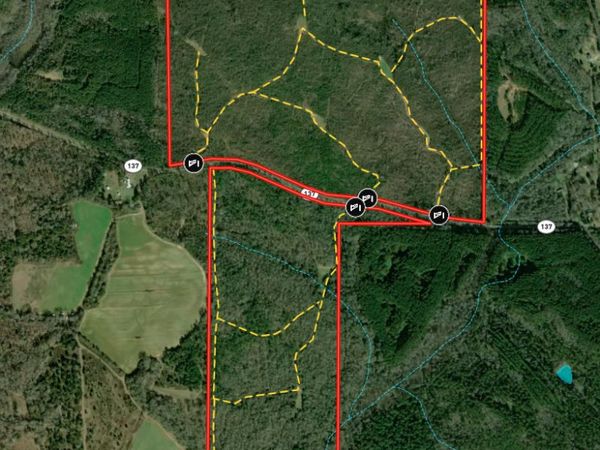 337+/- AC Hwy 137, Buena Vista, GA 31803