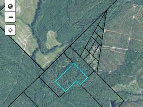 20 AC N Hope Church & Rt. 149, Mc Rae, GA 31055