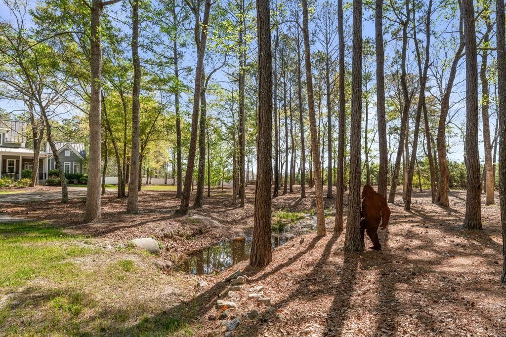 131 John T Ct. Photo 39