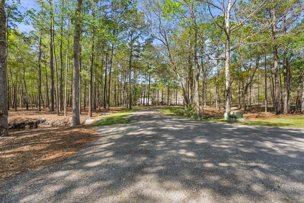 131 John T Ct. Photo 42