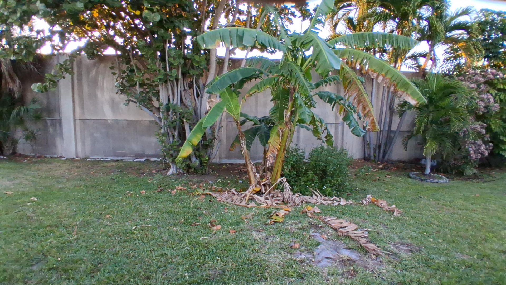 3021 NW 2nd Avenue, Pompano Beach, FL 33064 Photo