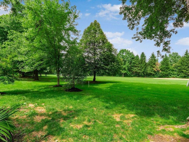 4828 Crazy Horse Lane, Unit 2, Westerville, OH 43081 Photo 57