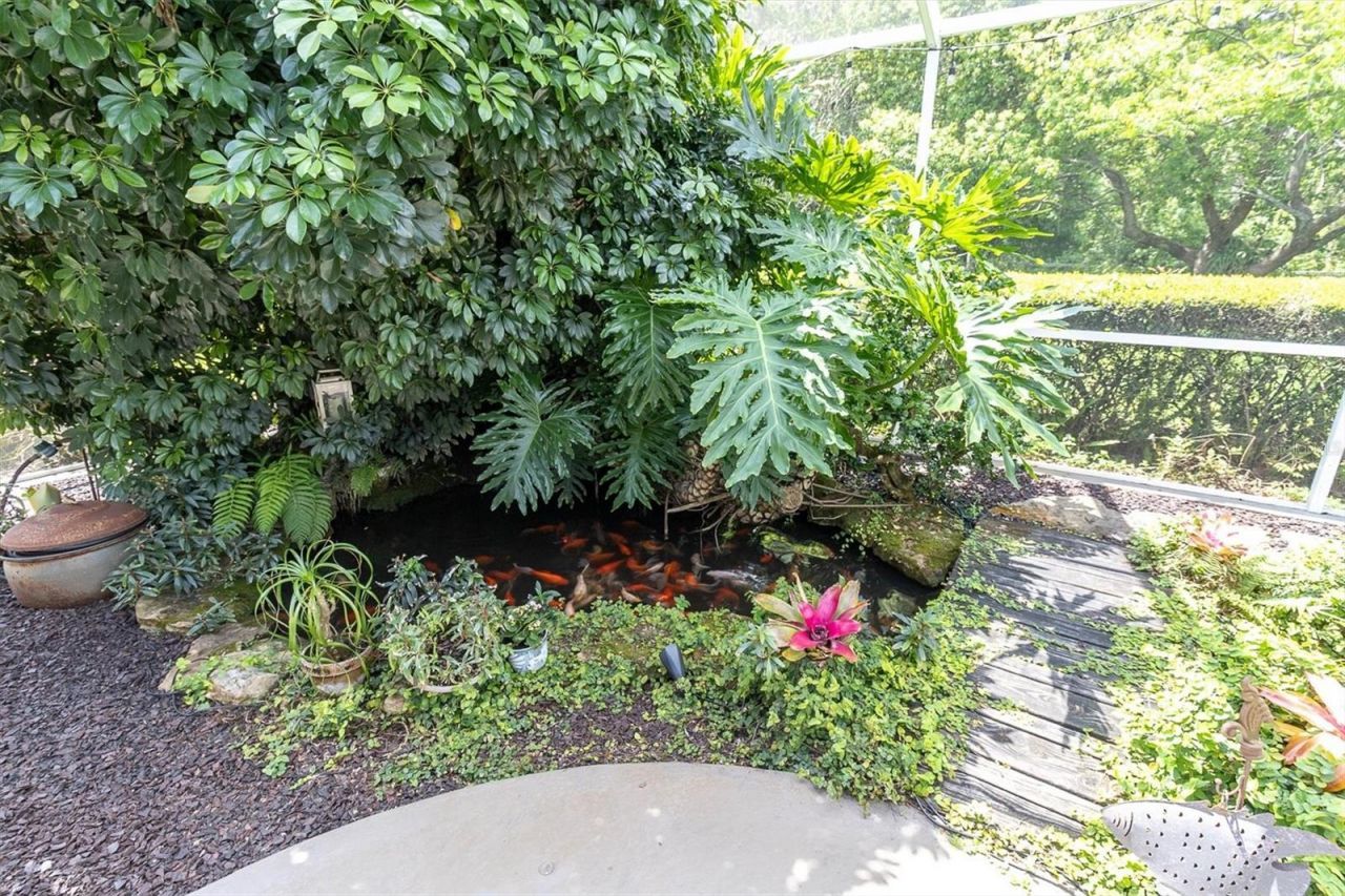 1806 Kinsmere Drive, Trinity, FL 34655 Photo