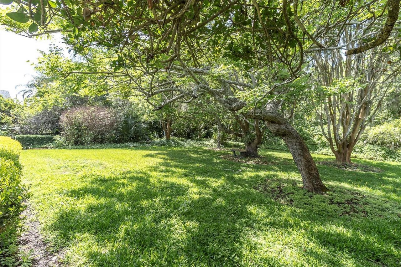 1806 Kinsmere Drive, Trinity, FL 34655 Photo