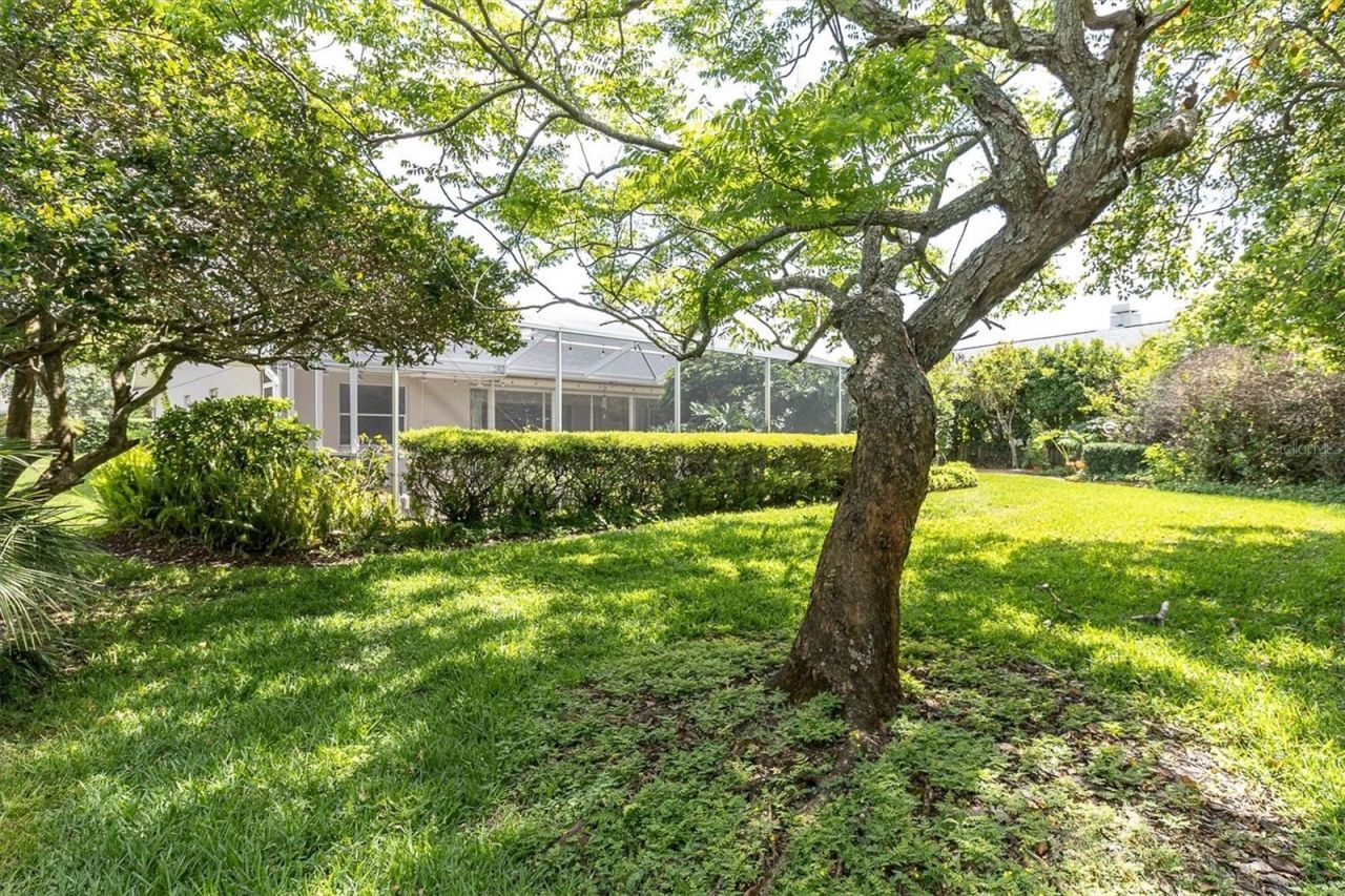 1806 Kinsmere Drive, Trinity, FL 34655 Photo