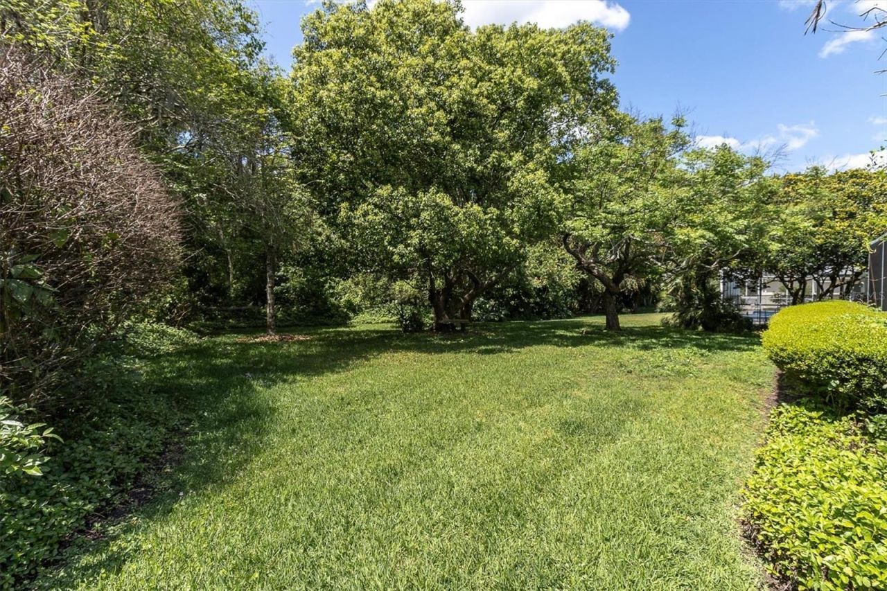 1806 Kinsmere Drive, Trinity, FL 34655 Photo