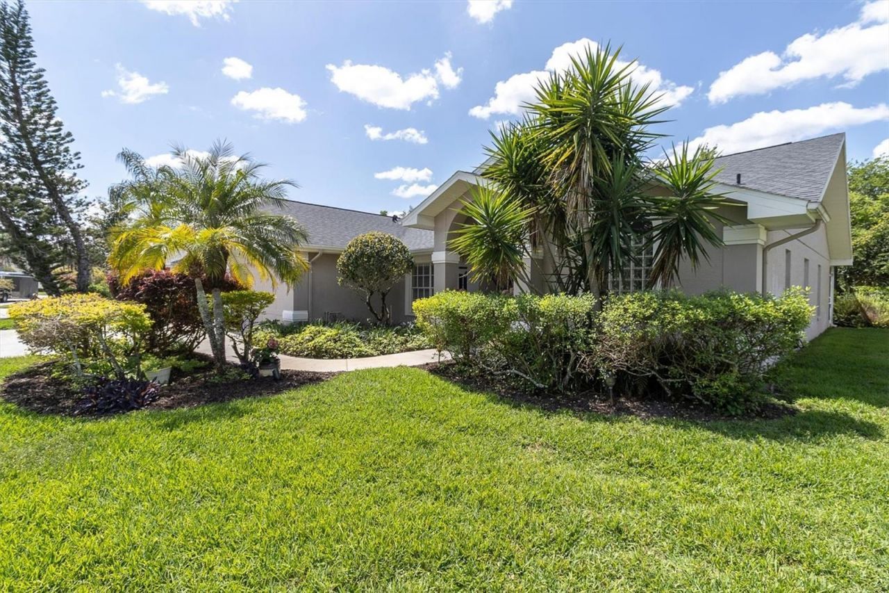 1806 Kinsmere Drive, Trinity, FL 34655 Photo