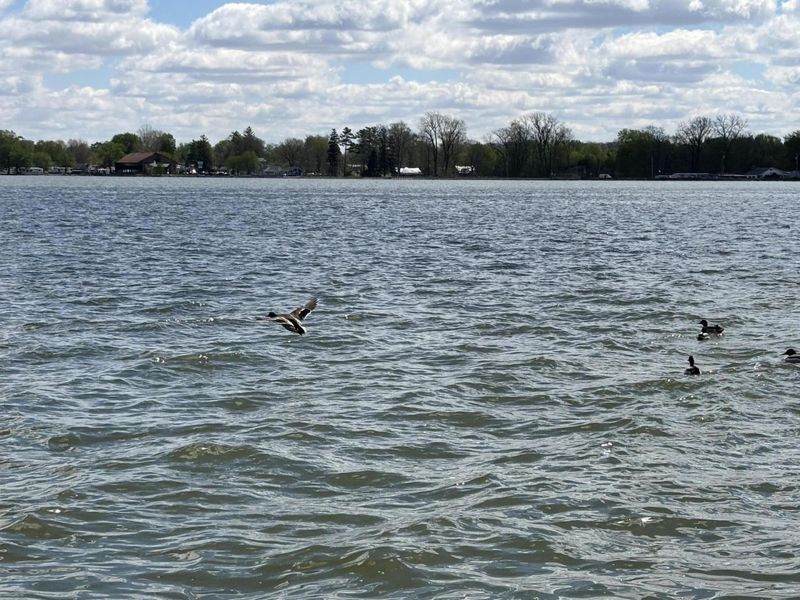 5 Private Drive, Russells Point, OH 43348 Photo 8