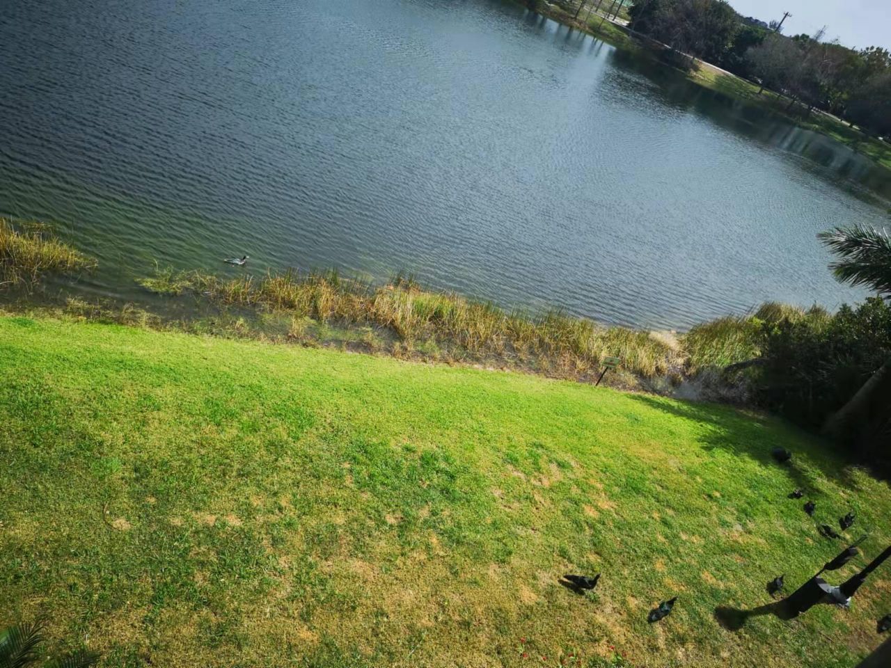 1660 Renaissance Commons Boulevard, Unit 2309, Boynton Beach, FL 33426 Photo