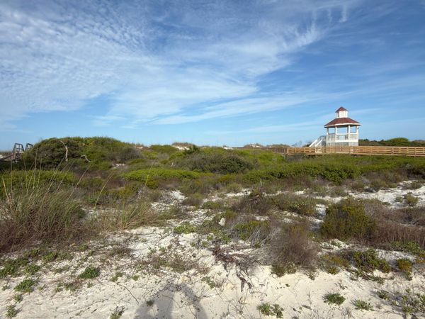 6287 Cape San Blas Road, Cape San Blas, FL 32456