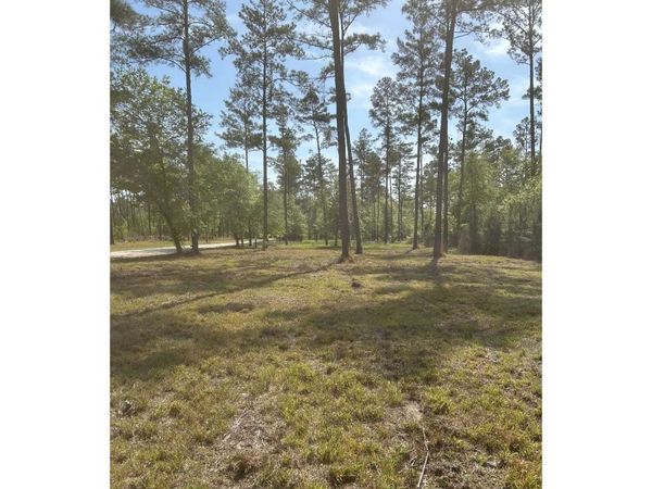 0 NW FALLING CREEK ROAD, Lake City, FL 32055