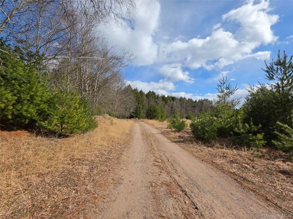 TBD Bobwhite Trail , Mongaup Valley, NY 12762